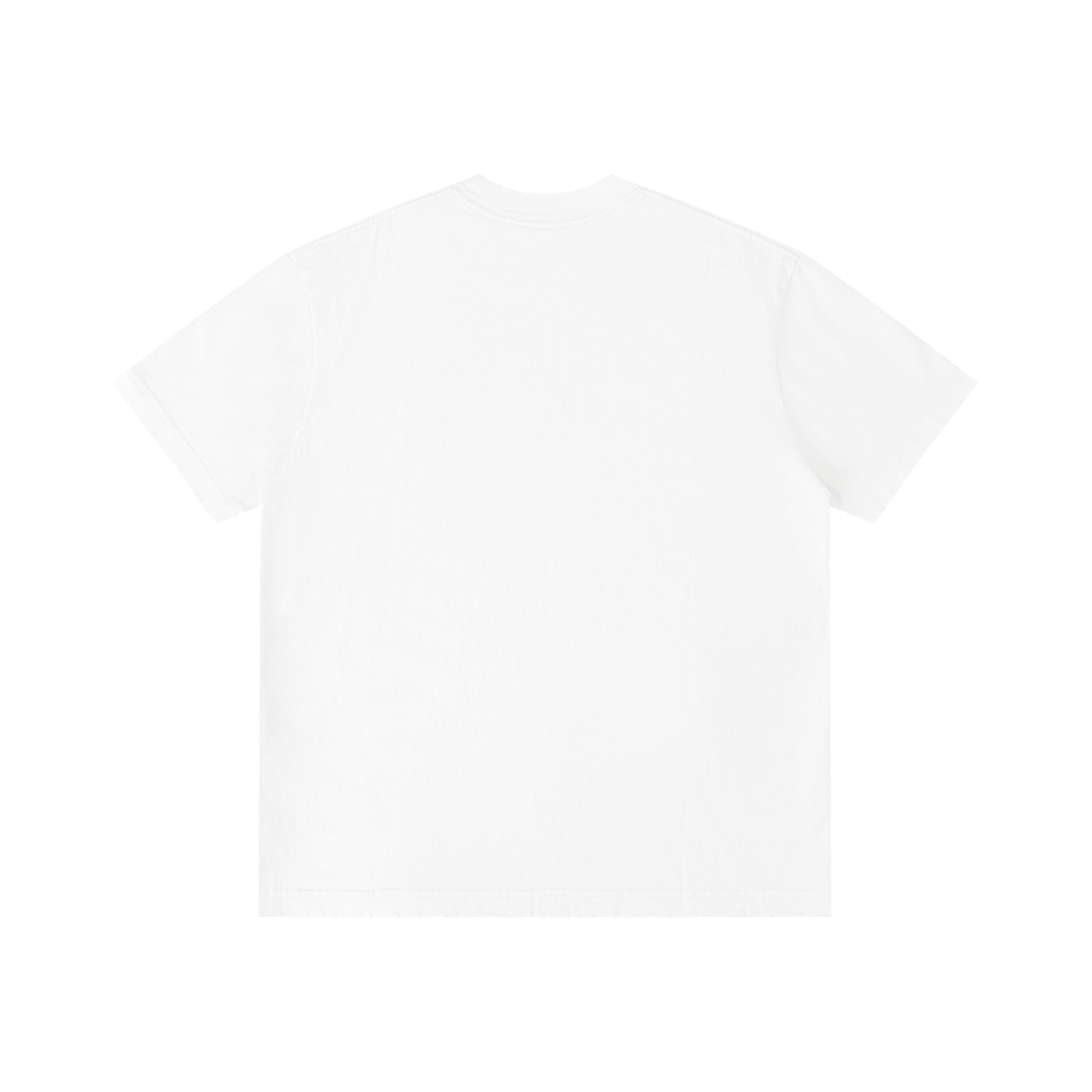 "This Too Shall Pass" Heavyweight T-Shirt